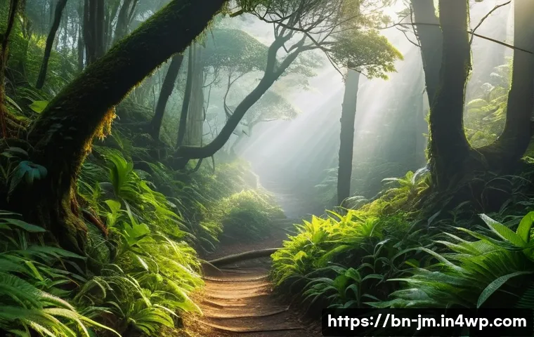 희귀 동식물 관찰을 위한 역사적 도보 루트 트레킹 - A serene mountain forest trail in Bengal during early morning mist, featuring dense green foliage an...
